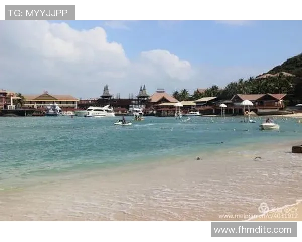 足球牛尾巴的奇妙旅程与背后的故事揭秘 足球牛尾巴的奇妙旅程与背后的故事揭秘