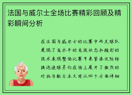 法国与威尔士全场比赛精彩回顾及精彩瞬间分析